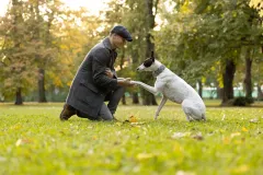 Kutyasfotozas_023