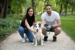 Kutyasfotozas_034